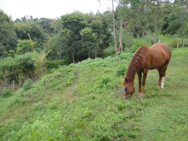 Vereda Bike Park Hotel São João del Rei Kültér fotó