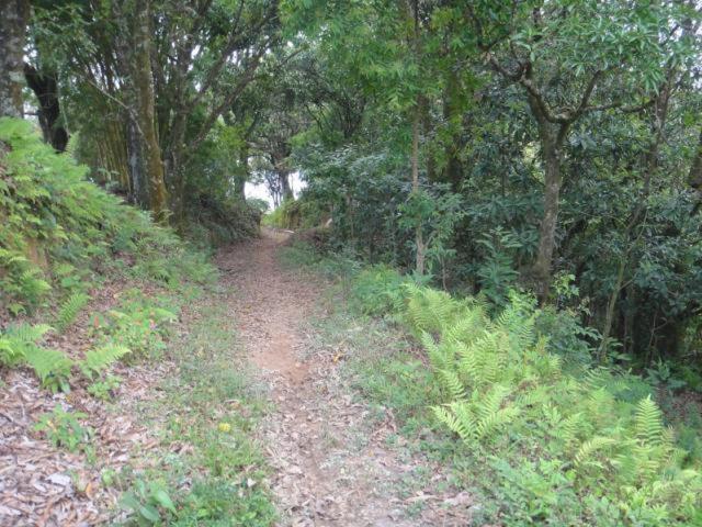 Vereda Bike Park Hotel São João del Rei Kültér fotó